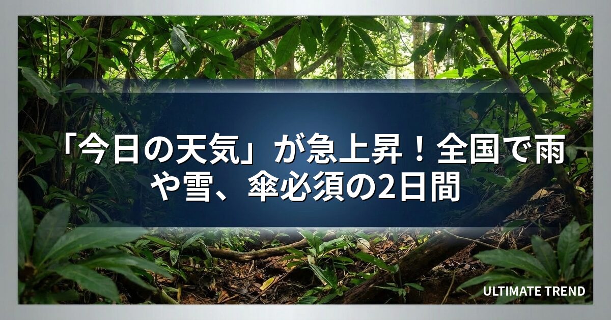 「今日の天気」が急上昇！全国で雨や雪、傘必須の2日間