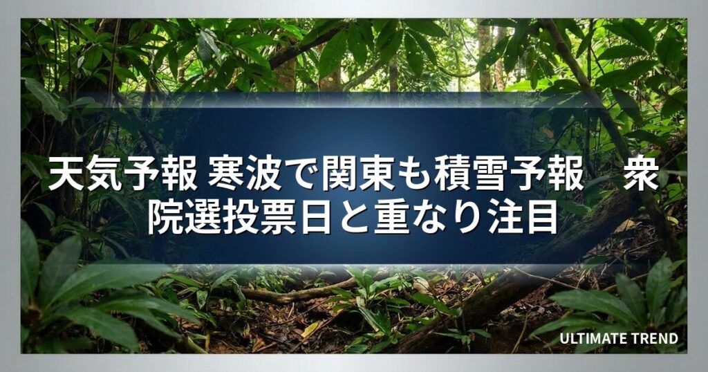 天気予報 寒波で関東も積雪予報　衆院選投票日と重なり注目