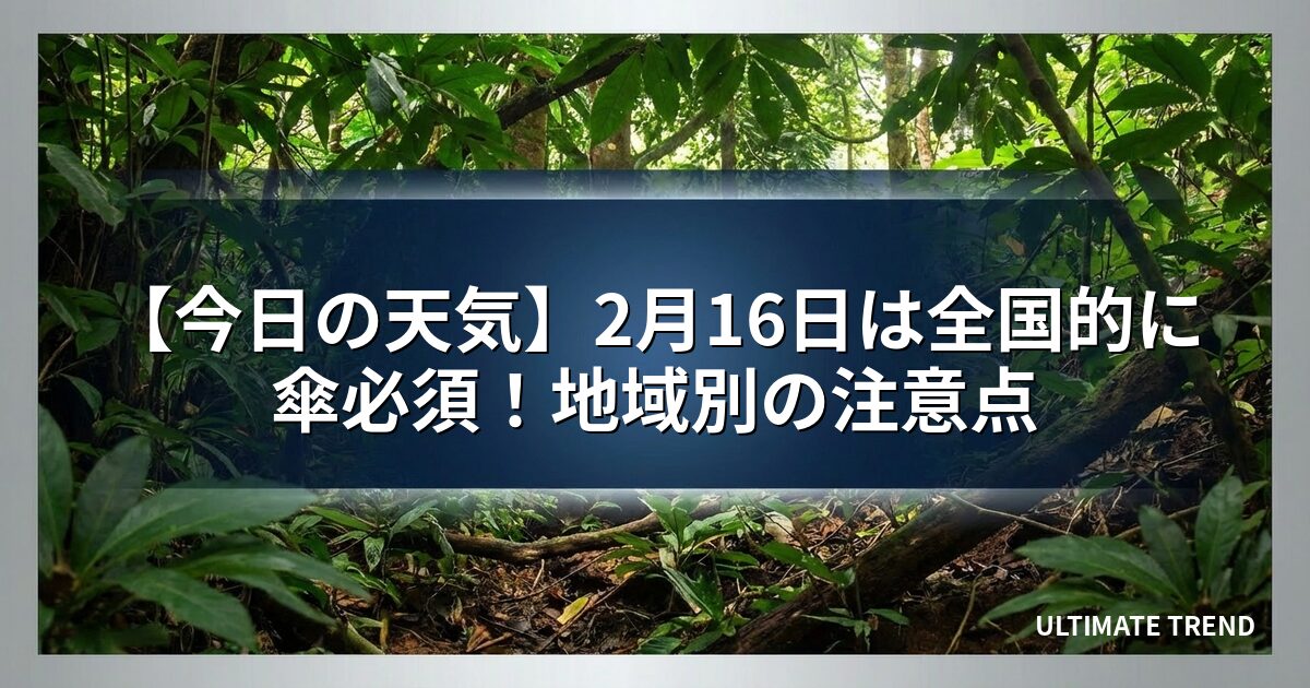 【今日の天気】2月16日は全国的に傘必須！地域別の注意点